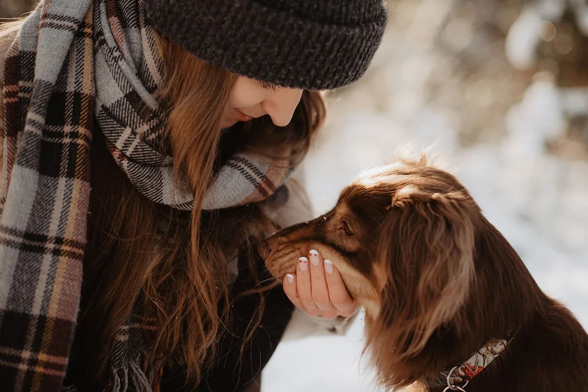 Dog Training in Mission